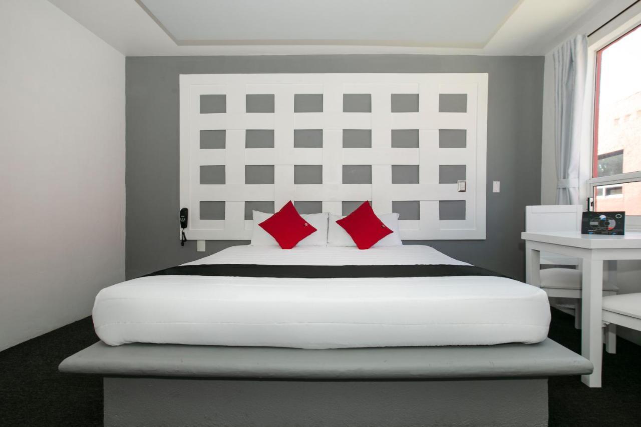 Hotel Euro Confort,Pachuca Luaran gambar